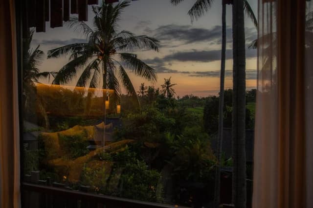 Canopy Suite