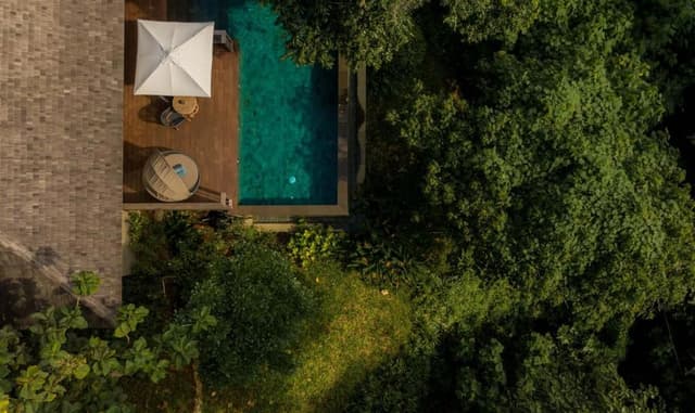 Jungle Pool Pavilion
