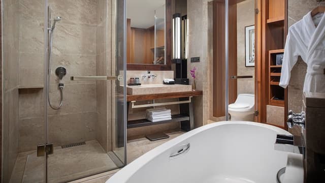 Premium Balcony Room Lounge Access