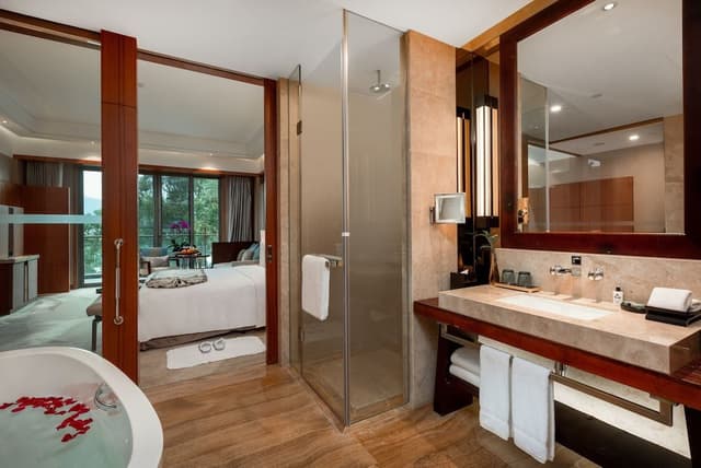 Premium Balcony Room Lounge Access
