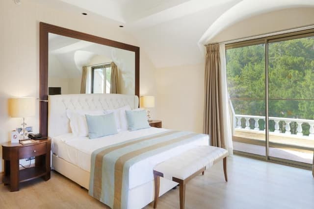 Deluxe Large Room Land View