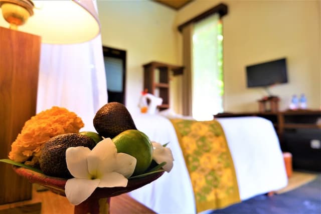 Double Room, Mountain View