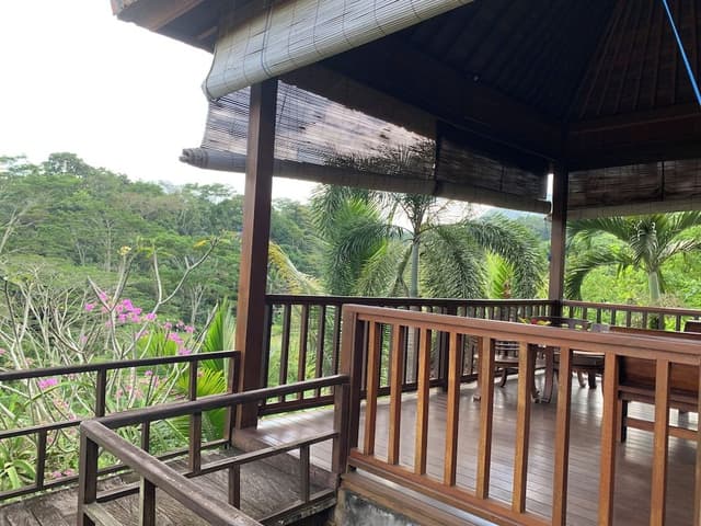 Deluxe Double Room, 1 Bedroom, Balcony, Mountain View