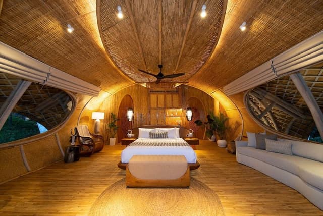 Cocoon Jungle