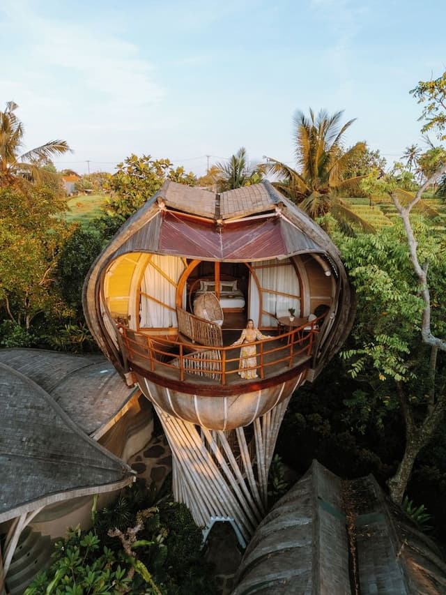 Tree House (Avatar)