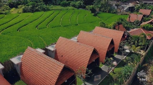 Deluxe Cottage, Garden View