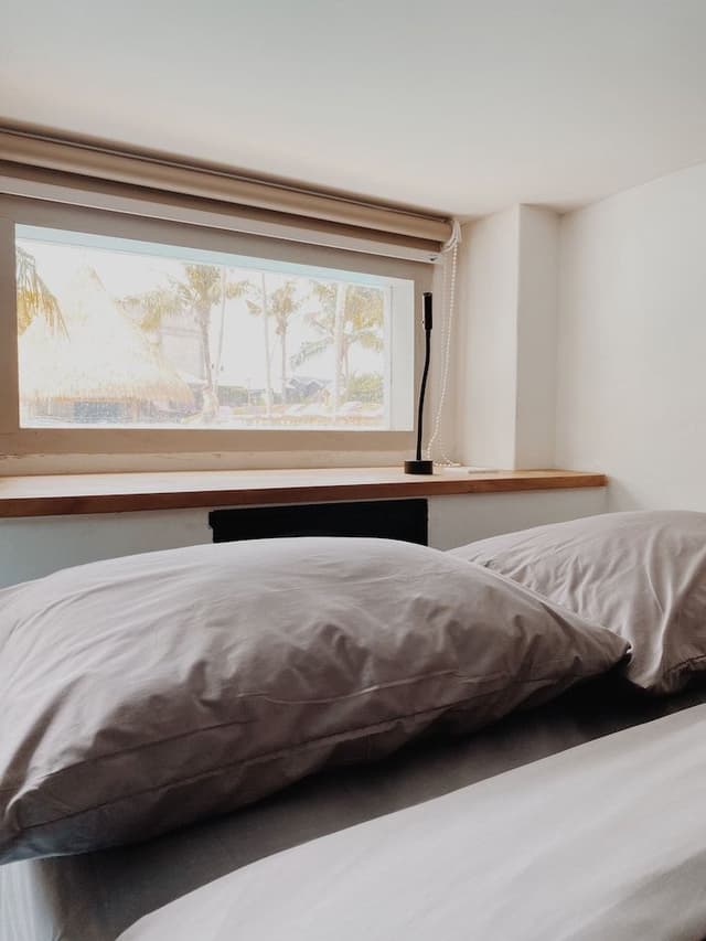 Shared Dormitory, Mixed Dorm, Pool View