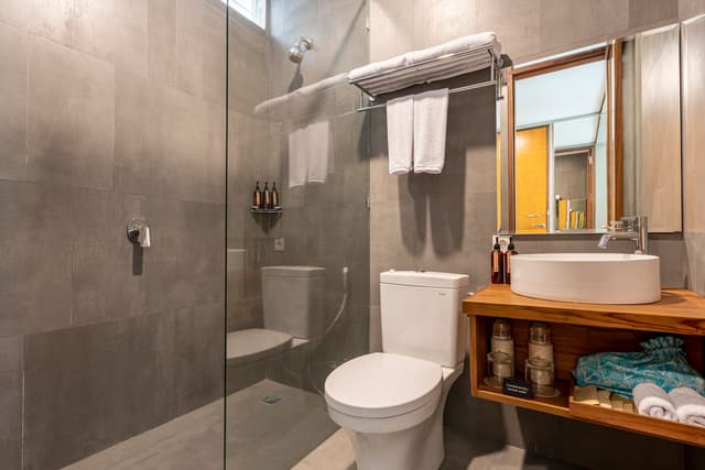 Deluxe Room with Pool