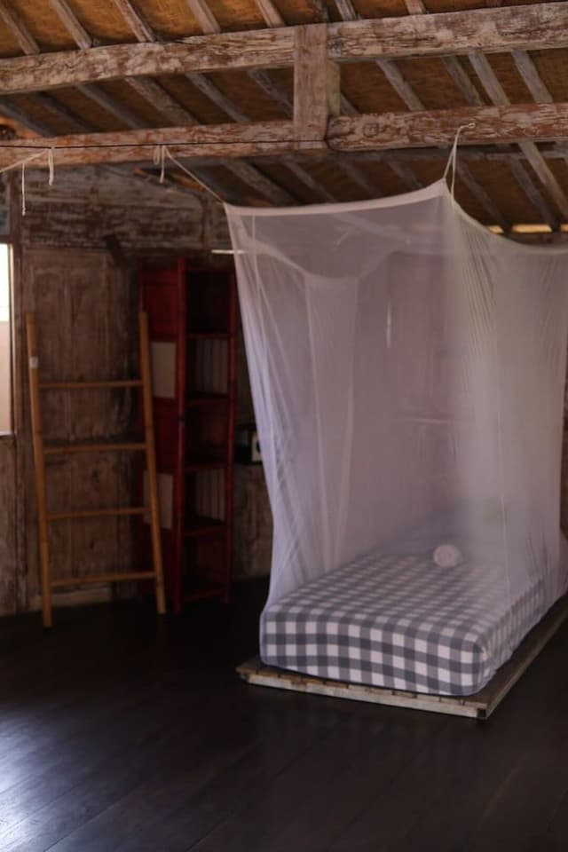 Basic Shared Dormitory, Women only, Non Smoking
