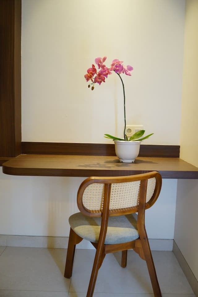 Premium Studio Suite