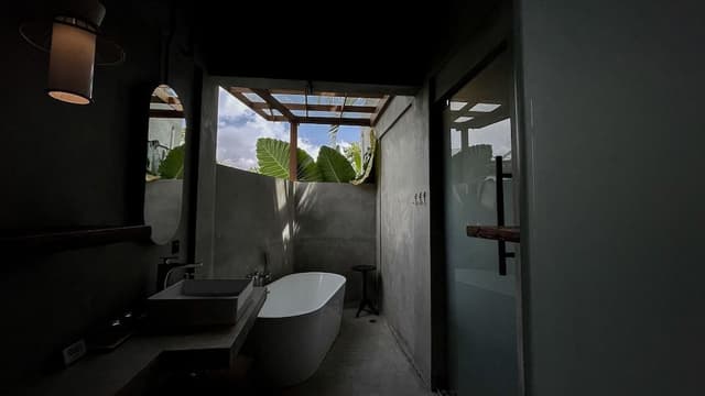 Deluxe Loft, 2 Bedrooms, Balcony