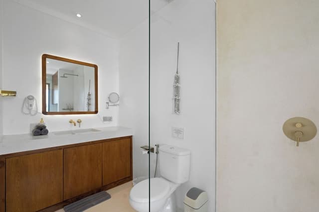 Basic Apartment