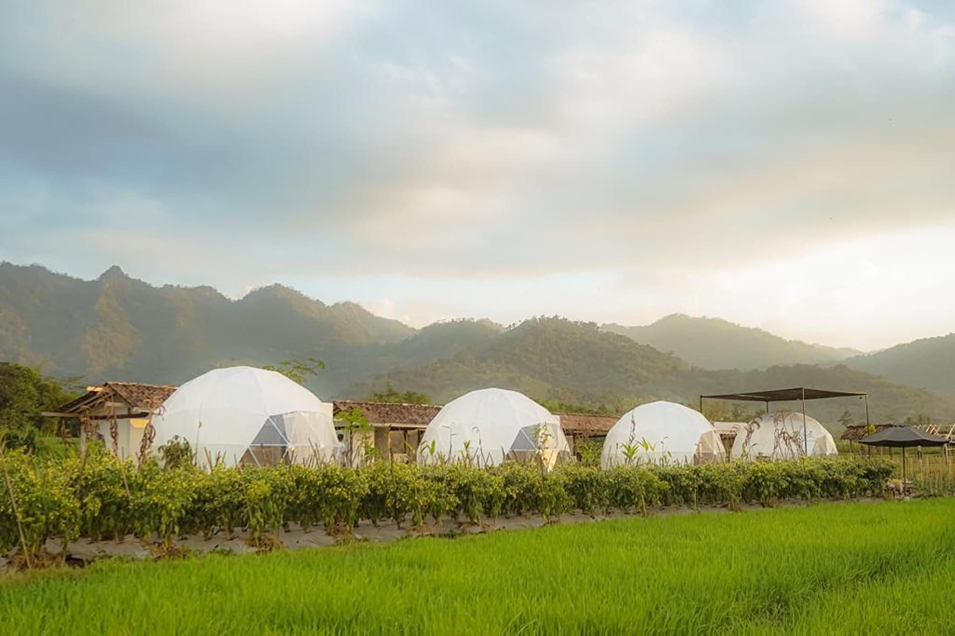 Borobudur Luxury Glamping Borobudur Luxury Glamping