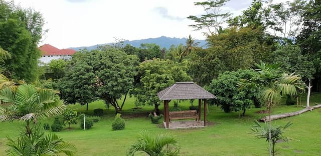 Superior Room, 2 Twin Beds, Garden View
