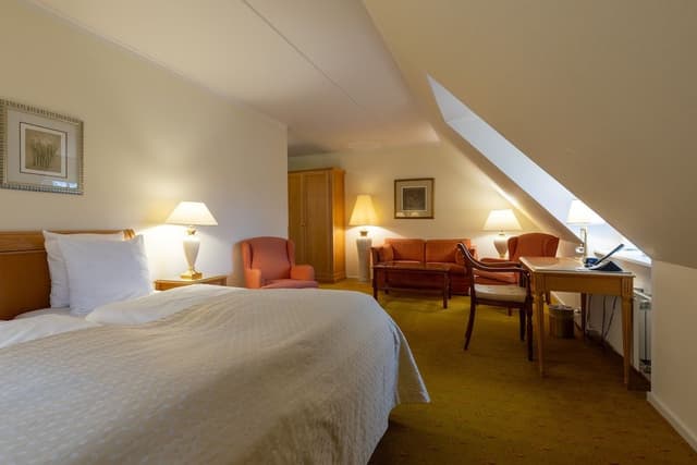 Deluxe Double or Twin Room