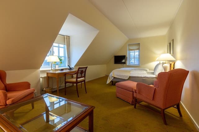 Deluxe Double or Twin Room