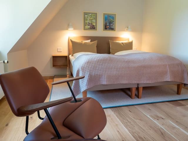 Superior Double or Twin Room
