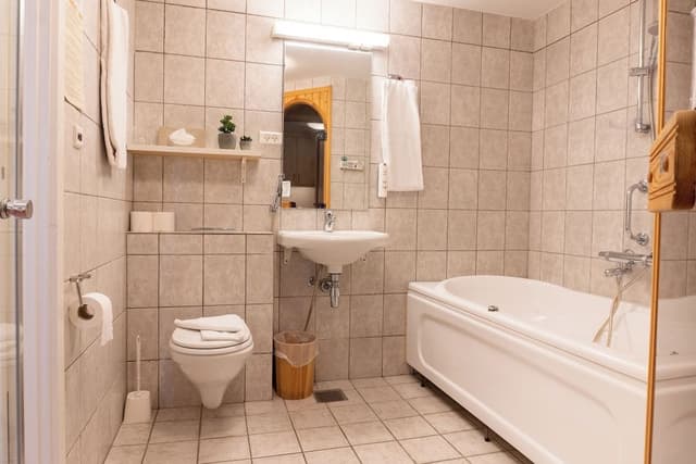 Deluxe Double Room, Sauna