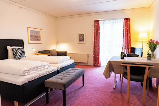 Deluxe Double Room, Sauna