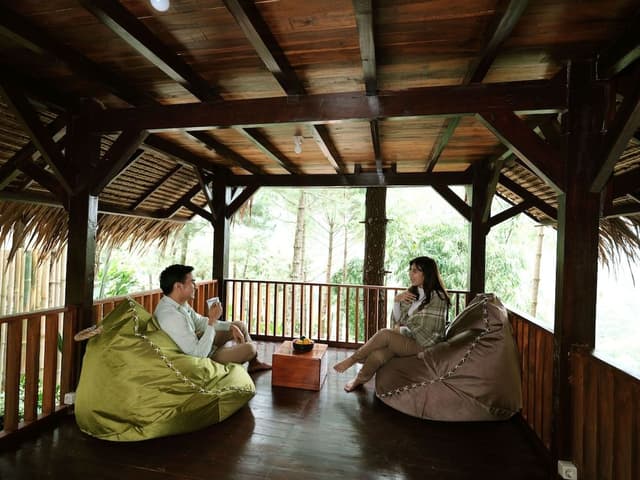 Tree House