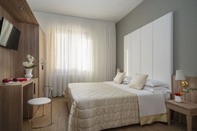 Executive Double or Twin Room