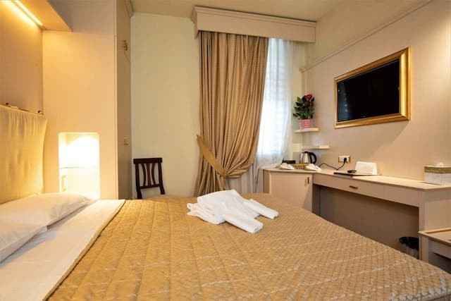 Superior Double or Twin Room