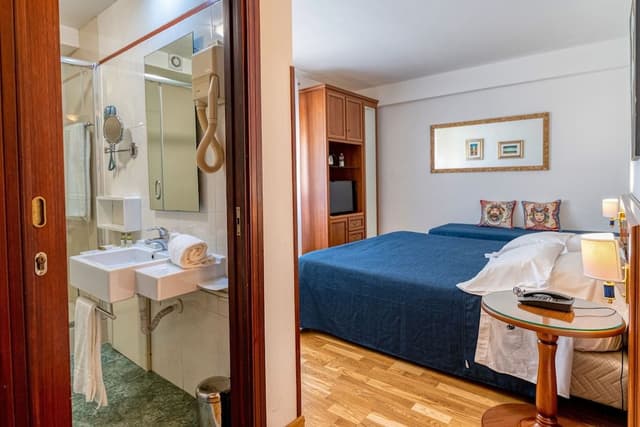 Comfort Double or Twin Room