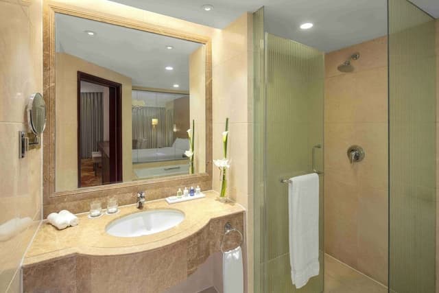 Executive Suite, Park View (Business Class)