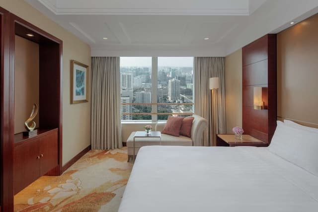 Executive Suite, Park View (Business Class)