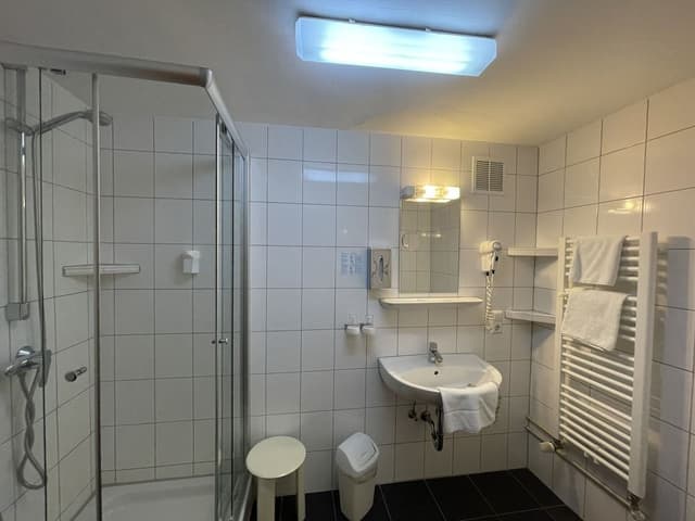 Single Room, 1 Twin Bed