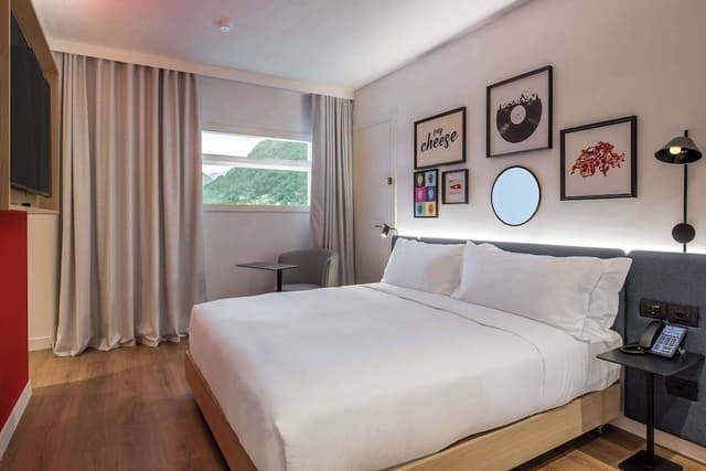 Room, 1 King Bed
