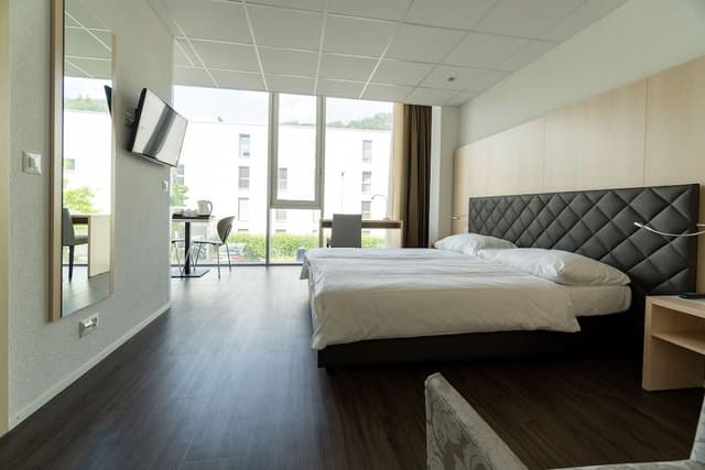 Deluxe Apartment, Kitchen