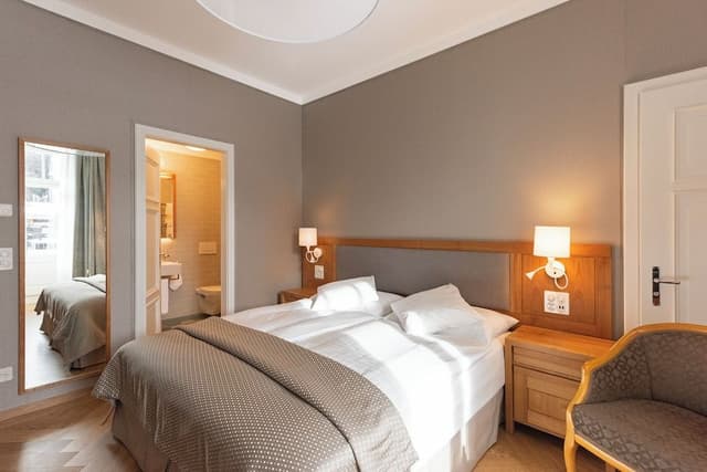 Superior Single Room