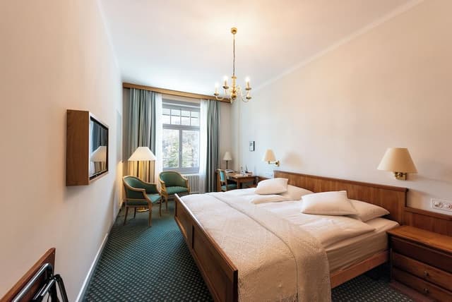 Superior Single Room