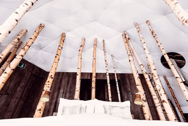 Suite (Forest)