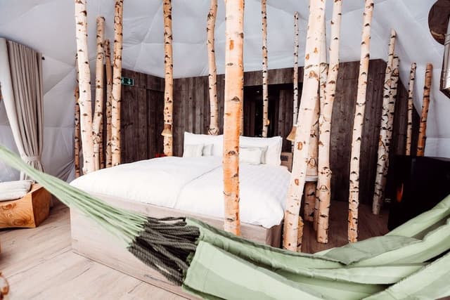 Suite (Forest)