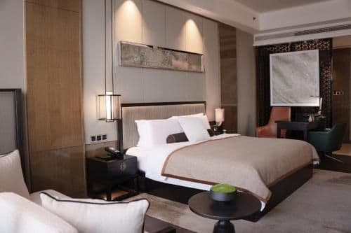 CEO Suite