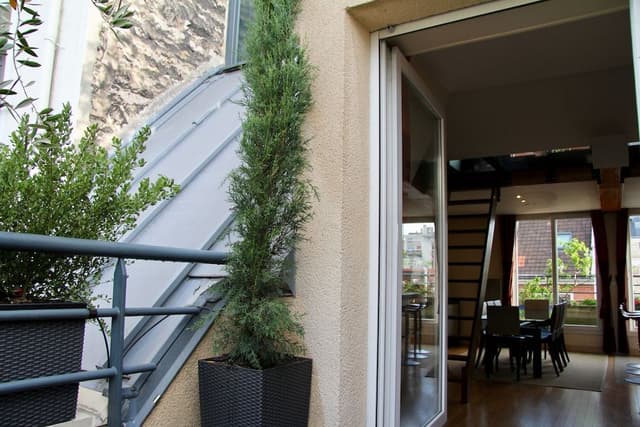 Deluxe Penthouse