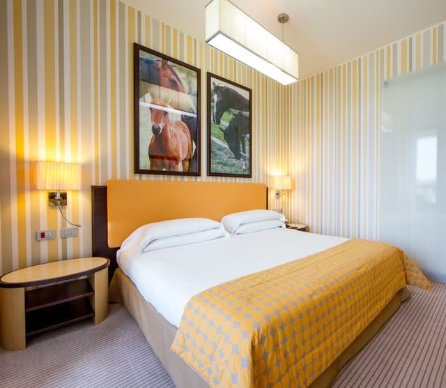 Standard Double or Twin Room