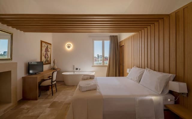 Superior Room, Terrace