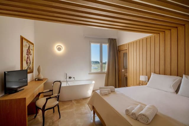 Superior Room, Terrace