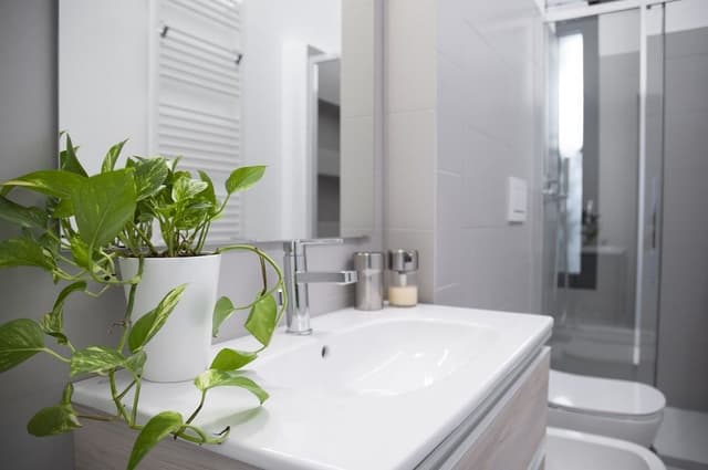 Superior Apartment, Ensuite (con Soppalco e Giardino)