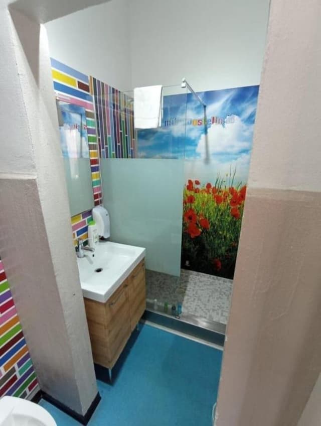 Shared Dormitory, Shared Bathroom (6 Beds Female Only)