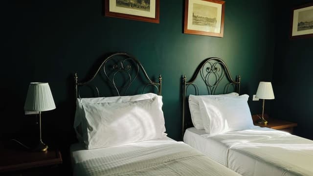 Superior Double or Twin Room, Mountain View