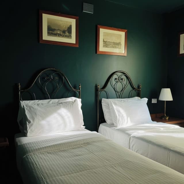 Superior Double or Twin Room, Mountain View