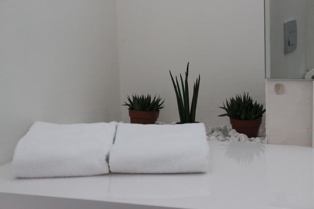 Deluxe Double Room, Park View