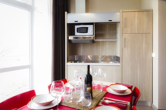 Classic Apartment, 1 Bedroom (3 Pax)