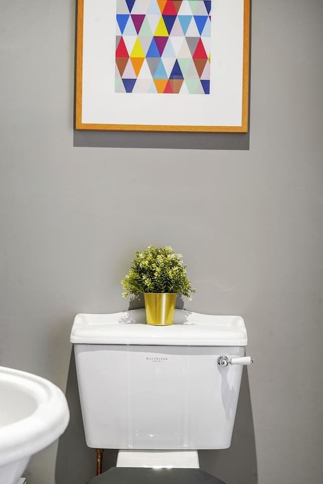 Apartment, Ensuite (Kauto Star)