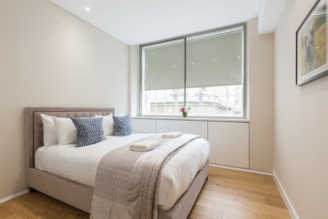 Deluxe Four Bedroom Apartment