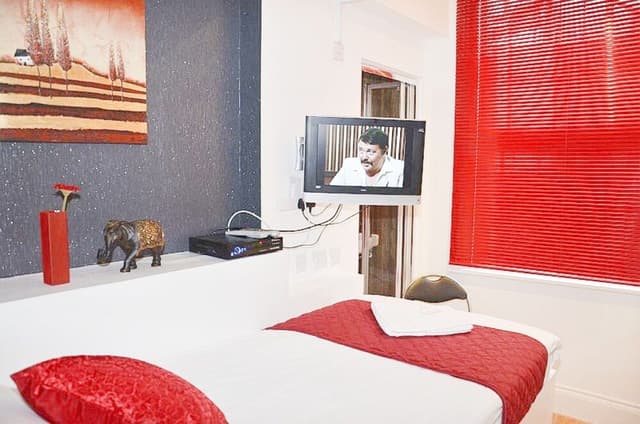 Junior Studio, 1 Twin Bed